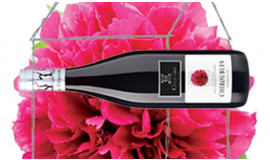 Chiroubles - La Pivoine - Collection Maison par Christophe COQUARD