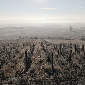 Le Beaujolais givré!