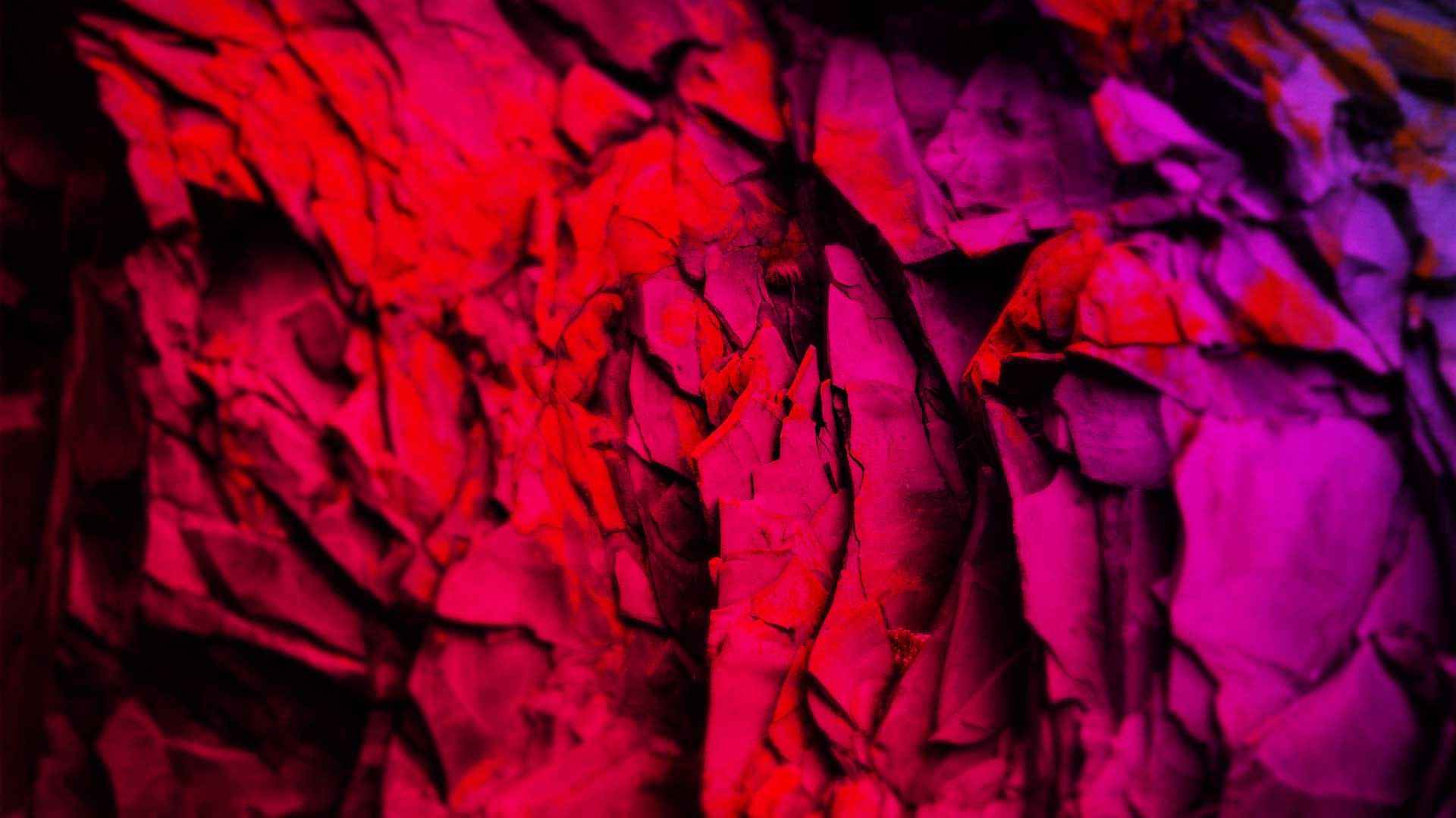 Morgon - Ceps dans le Schiste Rouge - Collection Maison - Christophe Coquard